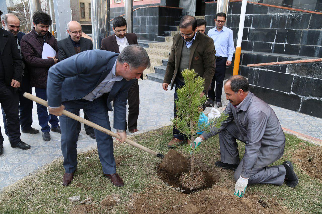 کاشت نهال توسط مدیرعامل شرکت گاز استان اردبیل در روز درختکاری